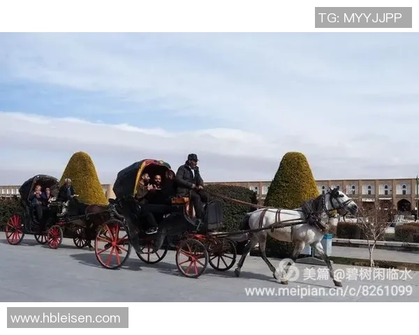 追忆伊朗昔日足球巨星荣耀与绿茵岁月